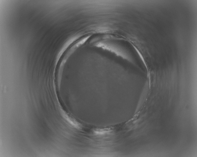 X0000061140147200512022257