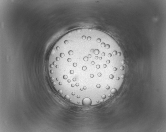 X0000061140149200512022257