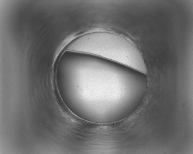 X0000061140152200512022257