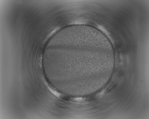 X0000061140153200512022257