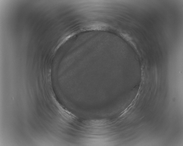 X0000061140154200512022257