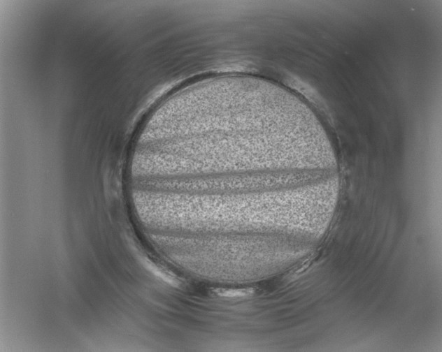 X0000061140155200512022257