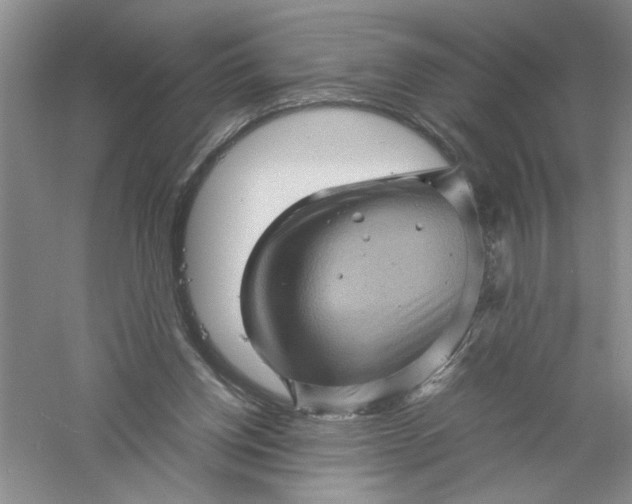 X0000061140158200512022257