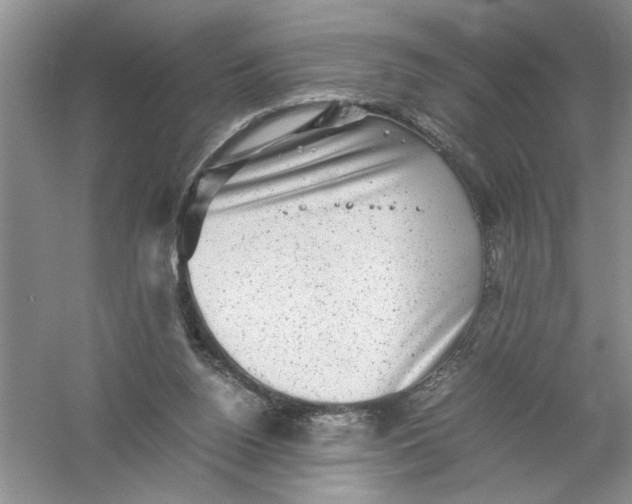 X0000061140160200512022257