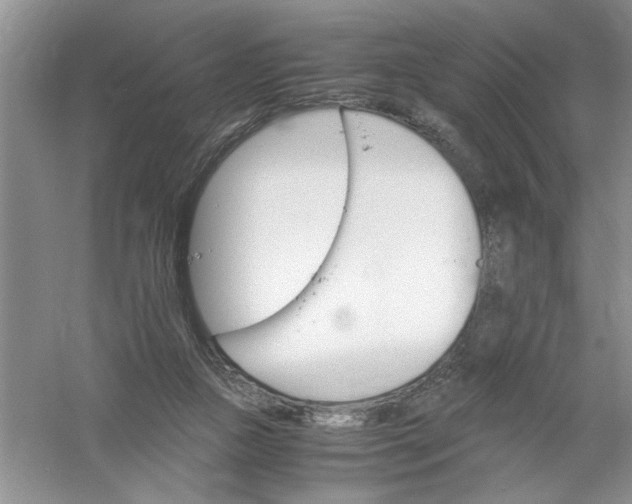 X0000061140161200512022257