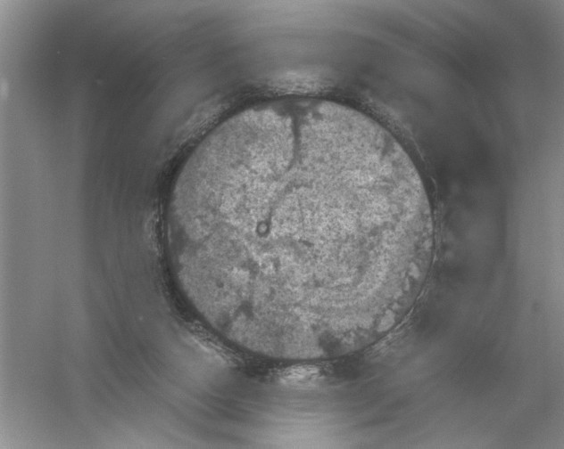 X0000061140162200512022257