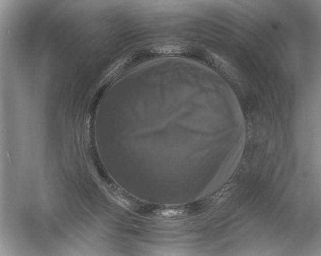 X0000061140163200512022257