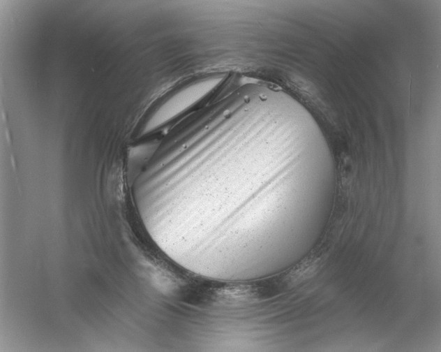 X0000061140164200512022257