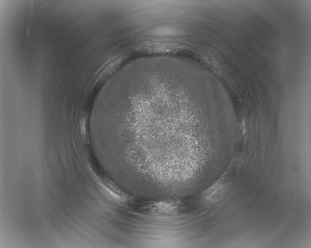 X0000061140166200512022257