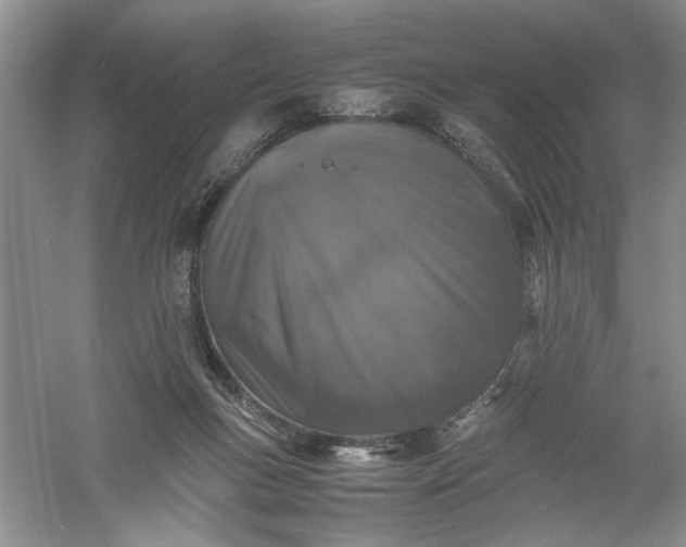 X0000061140167200512022257