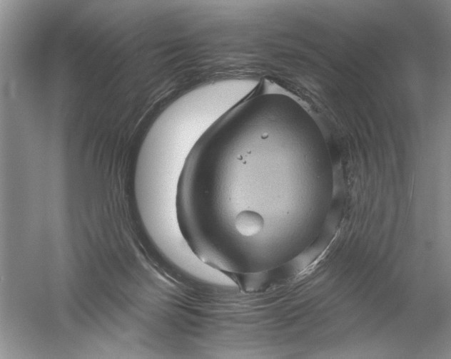 X0000061140171200512022257