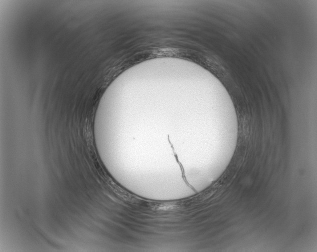 X0000061140173200512022257