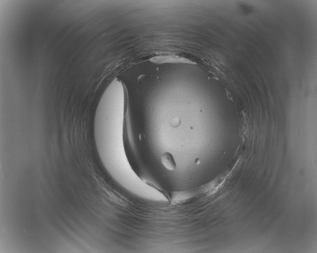 X0000061140175200512022257