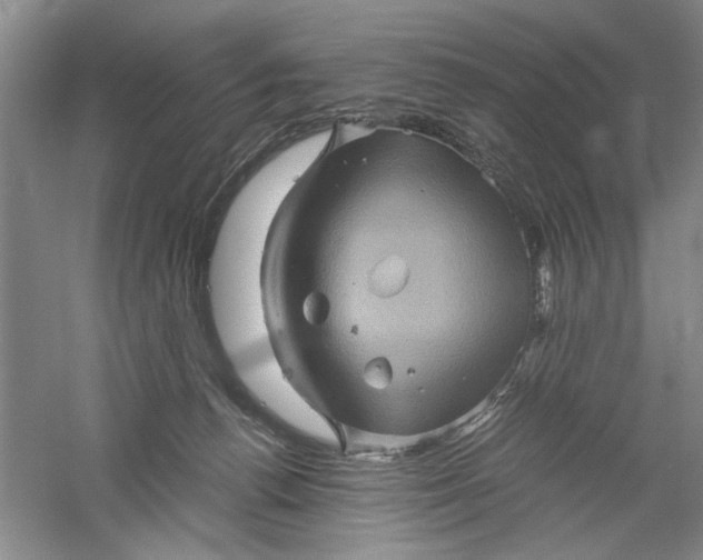 X0000061140176200512022257