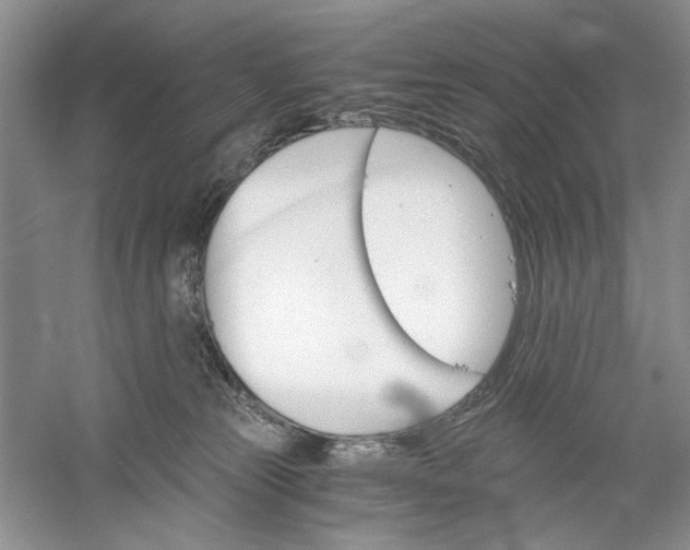 X0000061140181200512022257