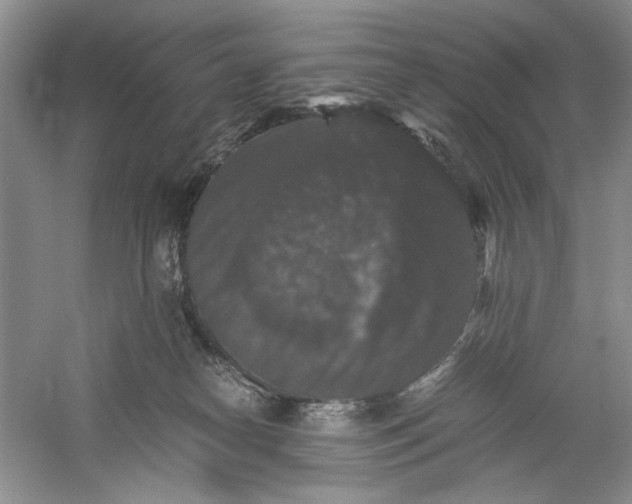 X0000061140182200512022257