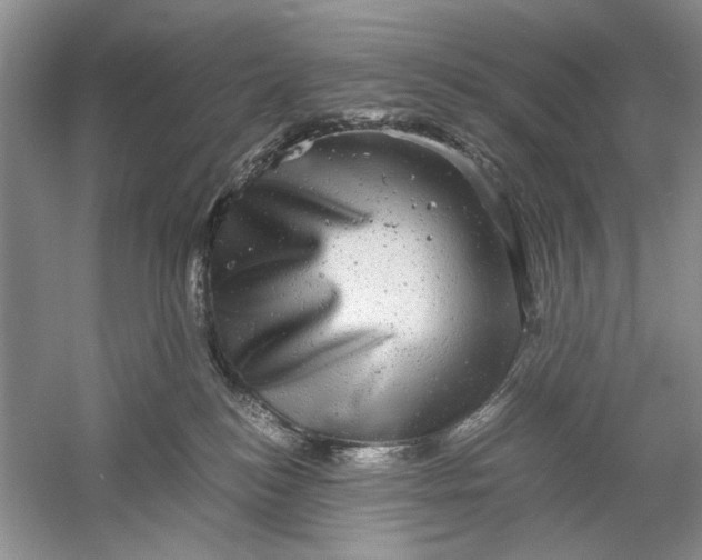 X0000061140184200512022257