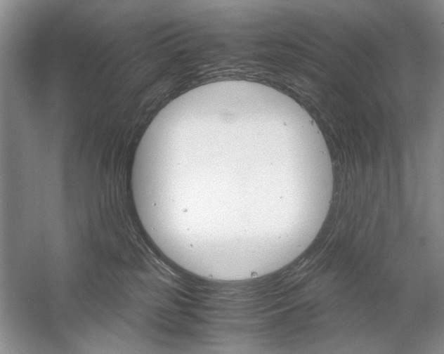 X0000061140185200512022257