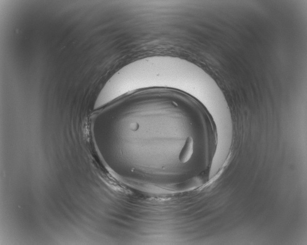 X0000061140186200512022257