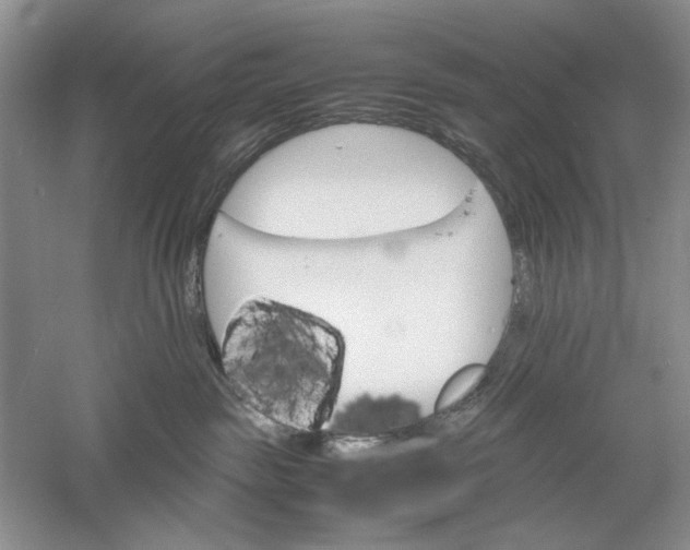 X0000061140189200512022257