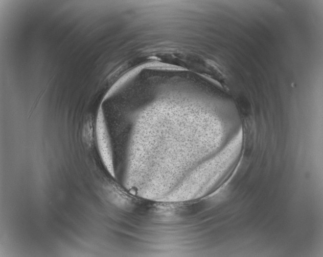 X0000061140190200512022257