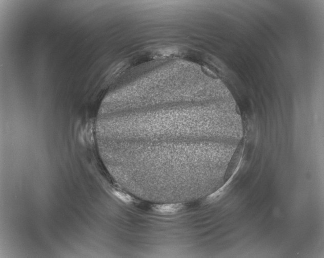 X0000061140191200512022257