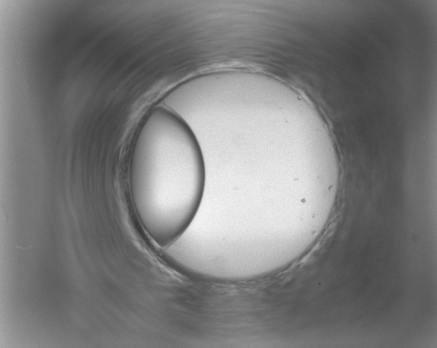 X0000061140193200512022256