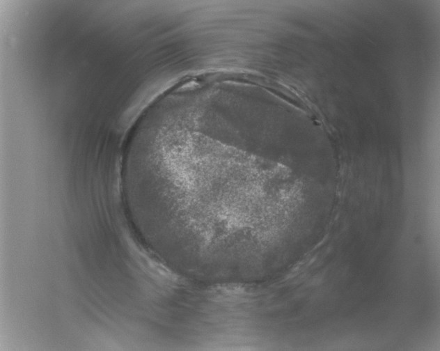 X0000061140194200512022256