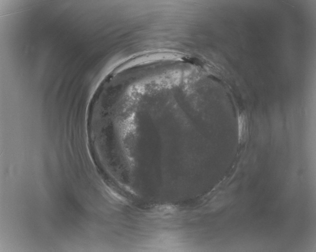 X0000061140195200512022256