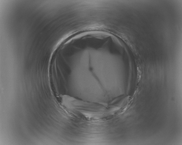 X0000061140196200512022256