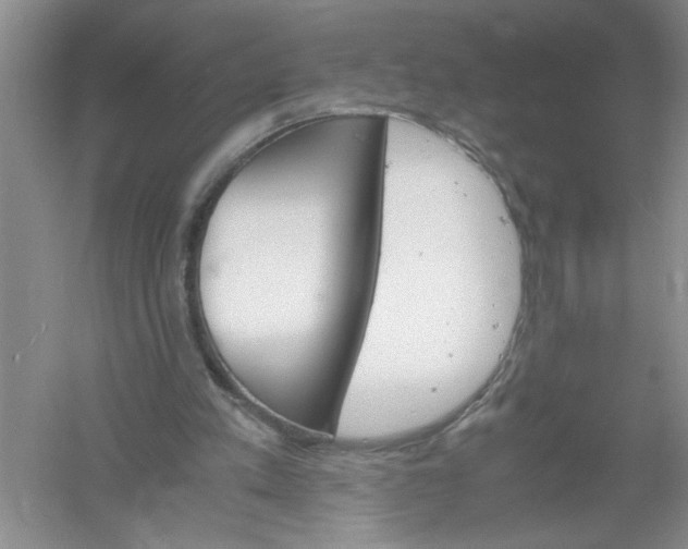 X0000061140197200512022256