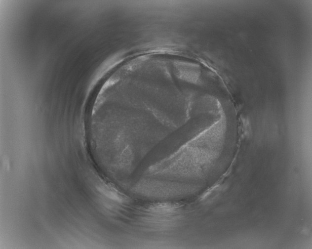 X0000061140198200512022256