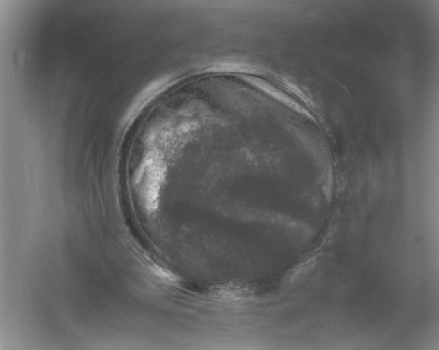 X0000061140199200512022256