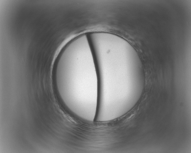 X0000061140200200512022256