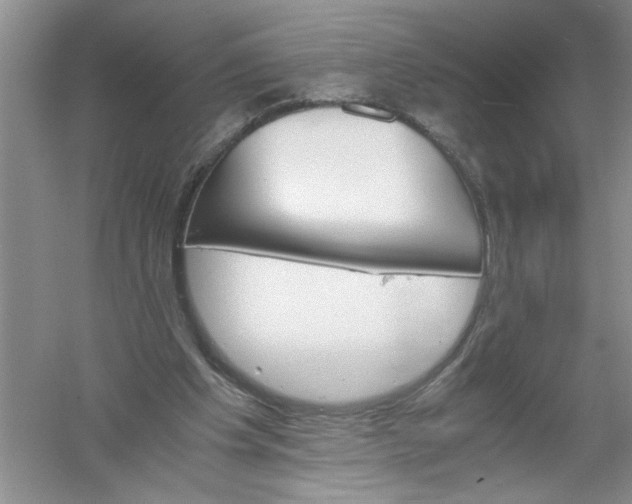 X0000061140201200512022256