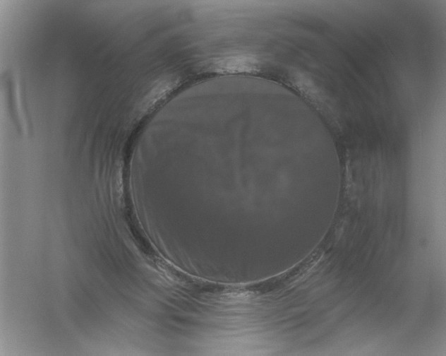 X0000061140202200512022256