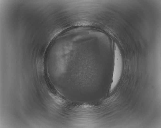 X0000061140204200512022256