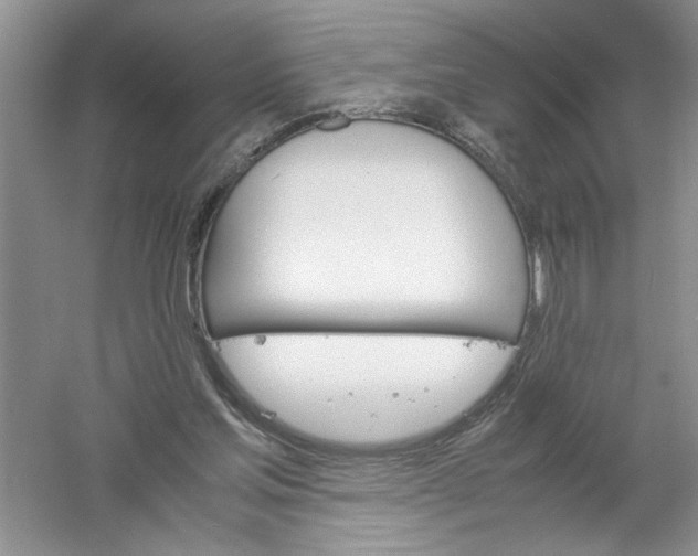 X0000061140205200512022256