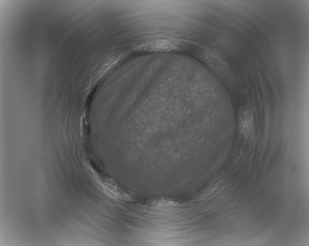 X0000061140206200512022256