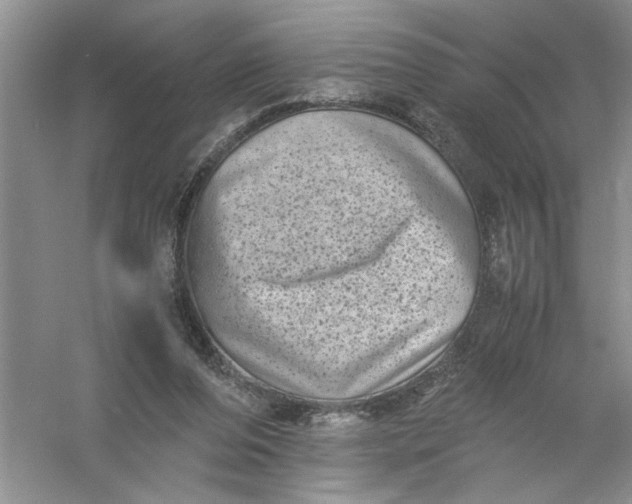 X0000061140208200512022256