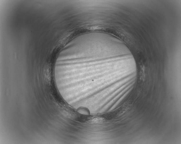 X0000061140210200512022256