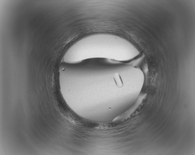 X0000061140211200512022256