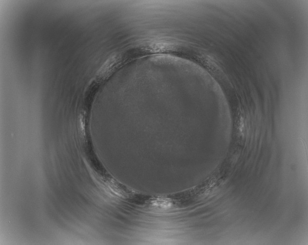 X0000061140214200512022256