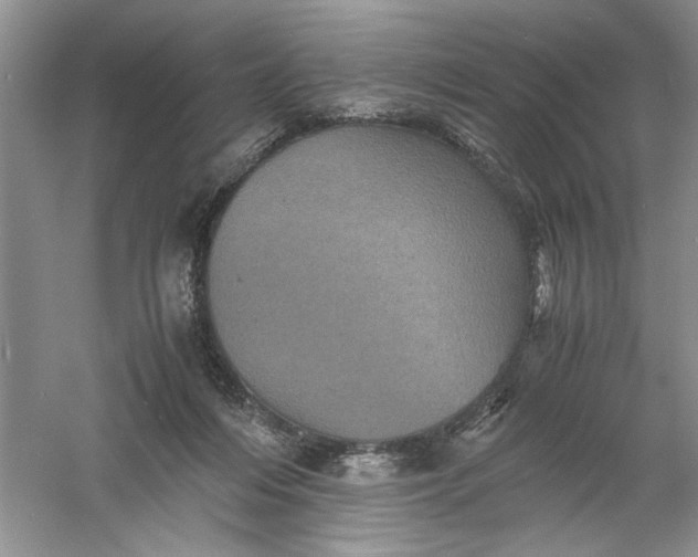 X0000061140216200512022256