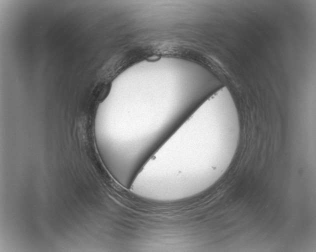 X0000061140217200512022256