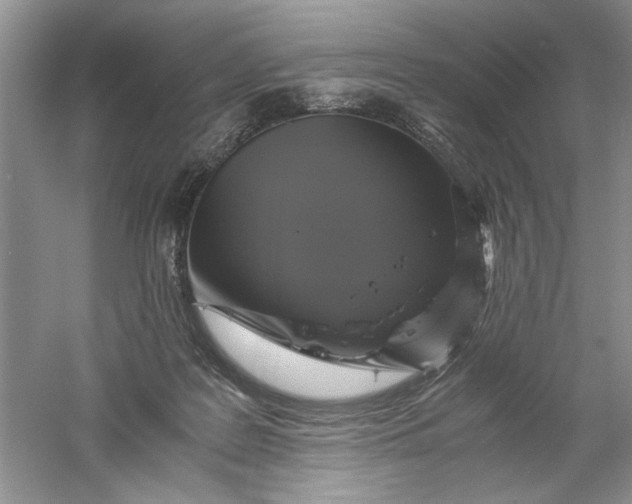 X0000061140219200512022256