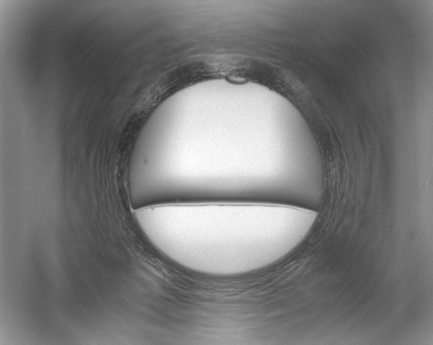 X0000061140221200512022256