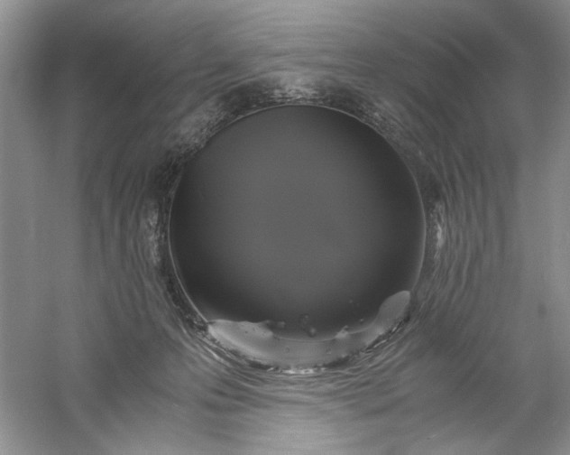 X0000061140223200512022256