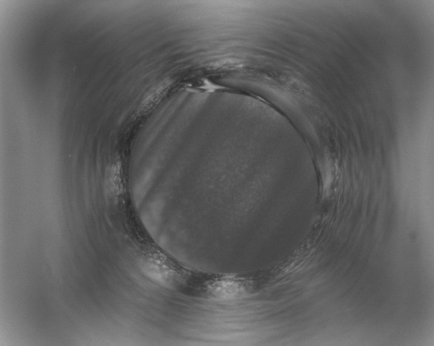 X0000061140224200512022256