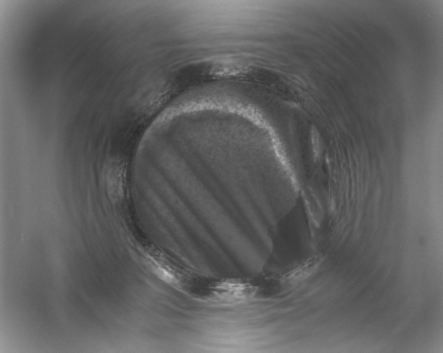 X0000061140227200512022256